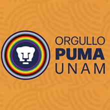Diversidad sexual y heterosexualidad obligatoria