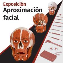 Aproximación Facial
