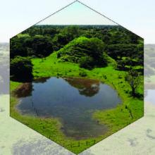 Arqueología en áreas tropicales de Mesoamérica