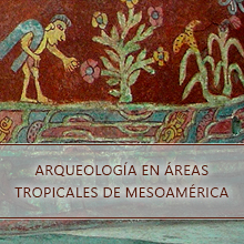 Arqueología en áreas tropicales de Mesoamérica