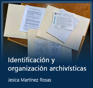 Identificación y organización archivísticas. Imperiosas labores de la gestión documental