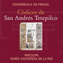 Códices de San Andrés Tetepilco