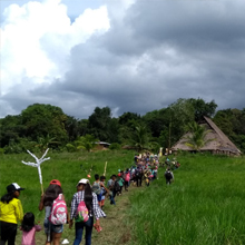 Jaguareidad, orfandad y la alquimia de la simbolización: agencia y pasión en la Amazonía colombiana