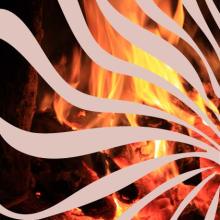 Estudios del fuego en el campo antropológico
