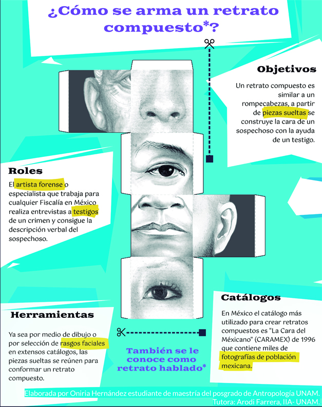 ¿Cómo se arma un retrato hablado?