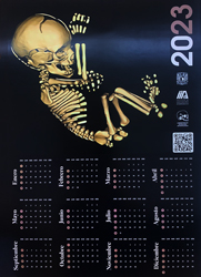 calendario Modelo 3D